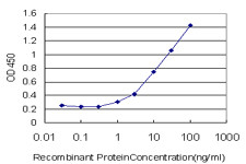 EPHB6 Antibody in ELISA (ELISA)
