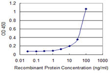 ERBB2 Antibody in ELISA (ELISA)