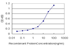 ERBB3 Antibody in ELISA (ELISA)
