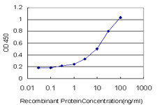 ERN1 Antibody in ELISA (ELISA)