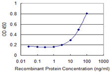 ETFA Antibody in ELISA (ELISA)