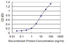 ETV4 Antibody in ELISA (ELISA)