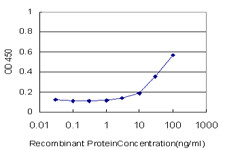 F8 Antibody in ELISA (ELISA)