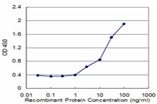 FAAH Antibody in ELISA (ELISA)