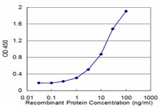 FAAH Antibody in ELISA (ELISA)
