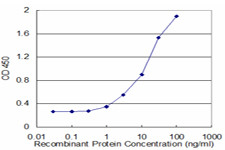 FAAH Antibody in ELISA (ELISA)