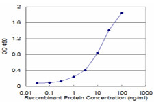 FAAH Antibody in ELISA (ELISA)