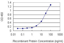 FABP2 Antibody in ELISA (ELISA)