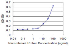 FANCB Antibody in ELISA (ELISA)