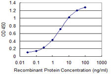 FBLN2 Antibody in ELISA (ELISA)