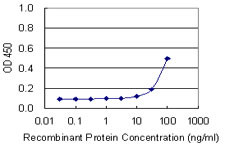 GPC5 Antibody in ELISA (ELISA)