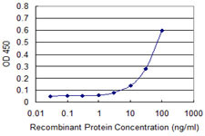 FHIT Antibody in ELISA (ELISA)