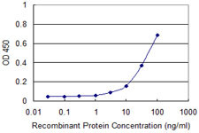 FHIT Antibody in ELISA (ELISA)