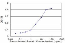 FHL3 Antibody in ELISA (ELISA)