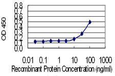 FKBP1A Antibody in ELISA (ELISA)