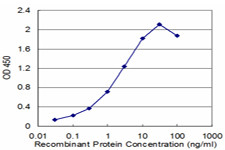 FKBP5 Antibody in ELISA (ELISA)