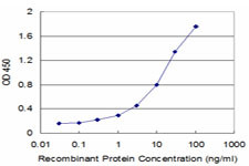 FOXL1 Antibody in ELISA (ELISA)