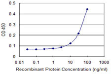 FOXM1 Antibody in ELISA (ELISA)