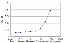 FOXO1A Antibody in ELISA (ELISA)