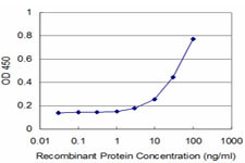 FOXO1A Antibody in ELISA (ELISA)