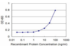 FOXO1A Antibody in ELISA (ELISA)
