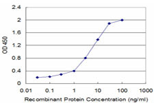 FLT3LG Antibody in ELISA (ELISA)