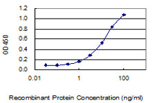 FOLH1 Antibody in ELISA (ELISA)