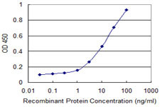 FOS Antibody in ELISA (ELISA)