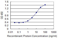 FUT5 Antibody in ELISA (ELISA)