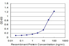 FUT7 Antibody in ELISA (ELISA)