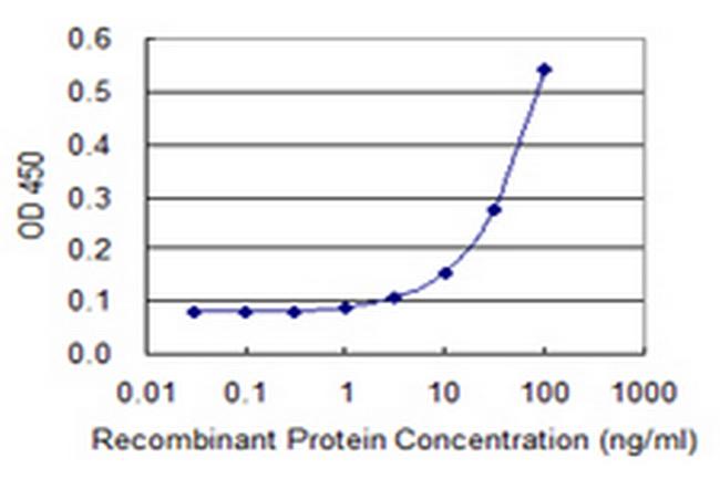 GAD2 Antibody in ELISA (ELISA)