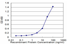 GAPDH Antibody in ELISA (ELISA)