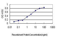 GCSH Antibody in ELISA (ELISA)