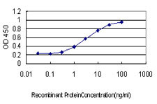 GEM Antibody in ELISA (ELISA)