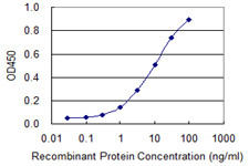 GH2 Antibody in ELISA (ELISA)
