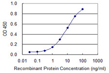 GH2 Antibody in ELISA (ELISA)