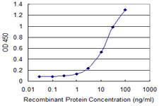 GJB1 Antibody in ELISA (ELISA)