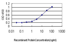 GKP3 Antibody in ELISA (ELISA)