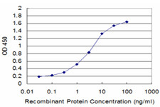 GLRA1 Antibody in ELISA (ELISA)