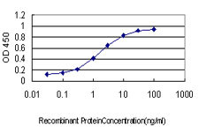 GML Antibody in ELISA (ELISA)