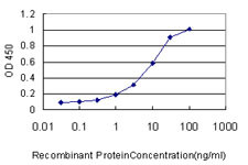 GNG7 Antibody in ELISA (ELISA)