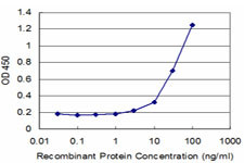 GNG11 Antibody in ELISA (ELISA)