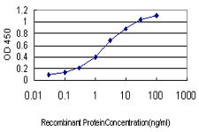 GNGT2 Antibody in ELISA (ELISA)