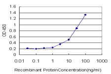 GRM2 Antibody in ELISA (ELISA)
