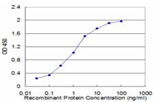GRM5 Antibody in ELISA (ELISA)