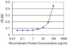 GSTT1 Antibody in ELISA (ELISA)