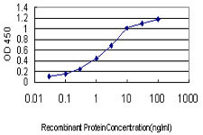 GTF2A1 Antibody in ELISA (ELISA)