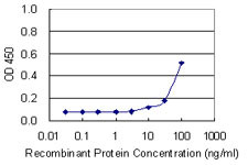 GTF2H4 Antibody in ELISA (ELISA)