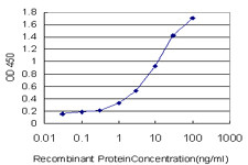GUCY2C Antibody in ELISA (ELISA)