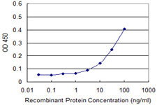 GUCY2C Antibody in ELISA (ELISA)